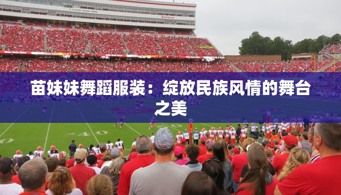 苗妹妹舞蹈服装：绽放民族风情的舞台之美
