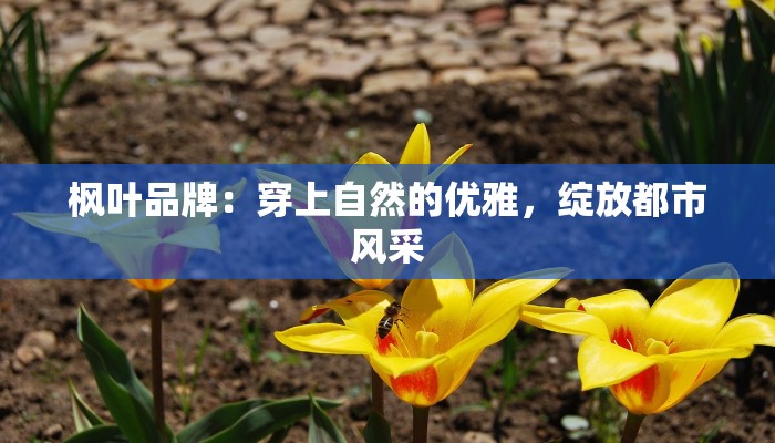 马山疫情最新通报