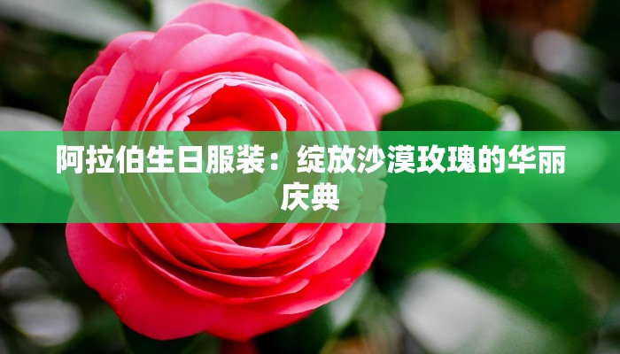 阿拉伯生日服装:绽放沙漠玫瑰的华丽庆典