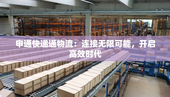 申通快递通物流：连接无限可能，开启高效时代