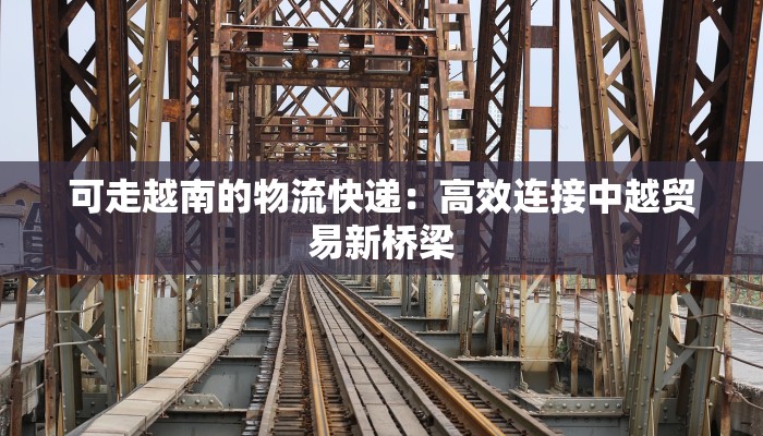 可走越南的物流快递:高效连接中越贸易新桥梁