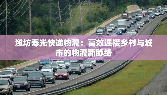 潍坊寿光快递物流：高效连接乡村与城市的物流新脉络