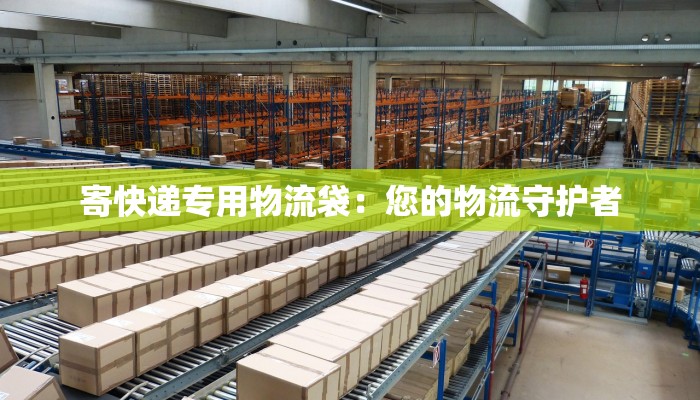 寄快递专用物流袋:您的物流守护者