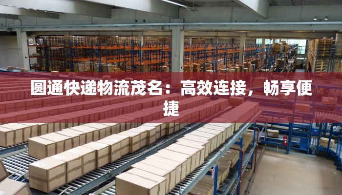 圆通快递物流茂名:高效连接,畅享便捷