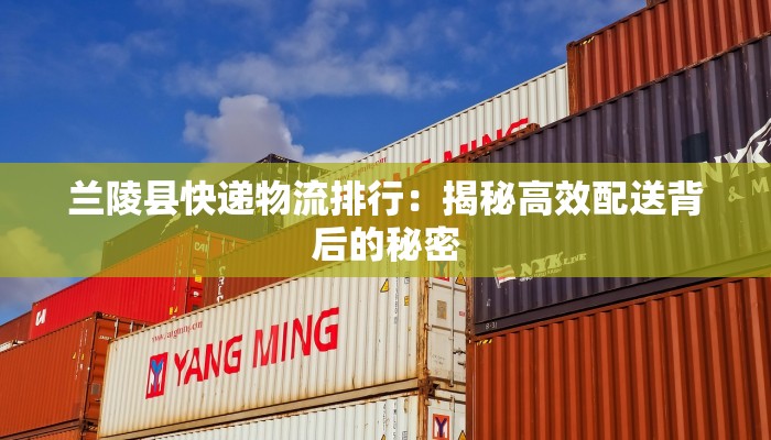 西秀区最新疫情动态：科学防控，守护健康生活