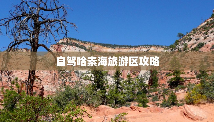 自驾哈素海旅游区攻略