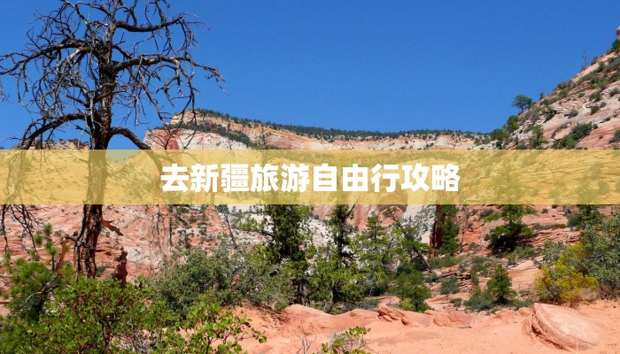 去新疆旅游自由行攻略