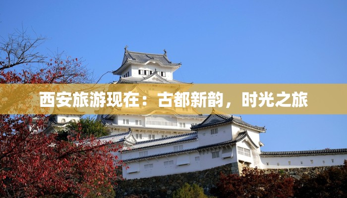 邱县最新疫情防疫：守护健康，共建平安家园