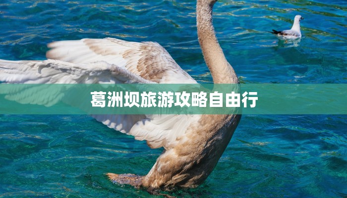 葛洲坝旅游攻略自由行