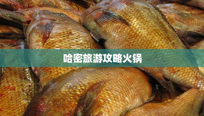 哈密旅游攻略火锅