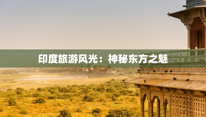 疫情最新南召：守护家园，健康前行