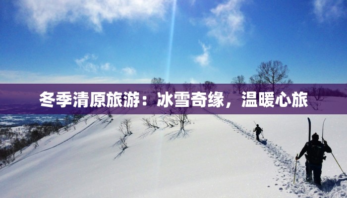 上宁市最新疫情报告