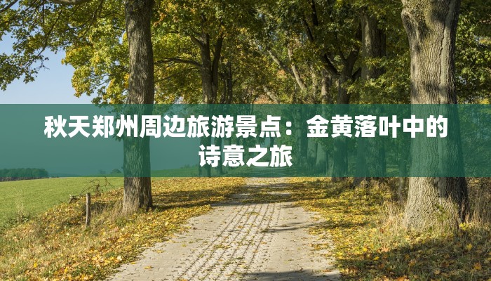 上海浦东：疫情下的韧性与新生