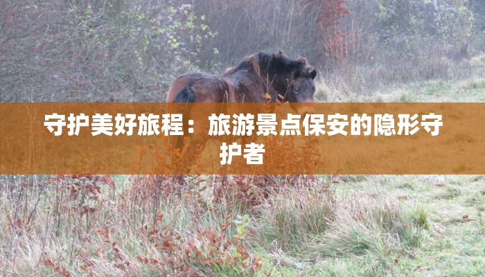 最新浙江省疫情等级：守护健康，拥抱新生