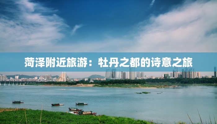 菏泽附近旅游：牡丹之都的诗意之旅