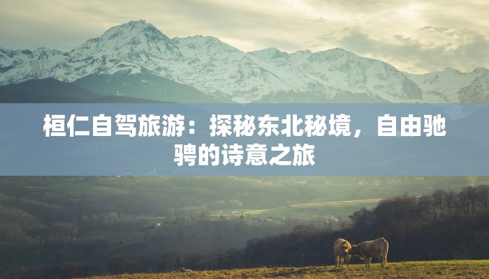 桓仁自驾旅游：探秘东北秘境，自由驰骋的诗意之旅
