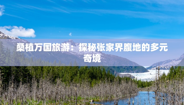 桑植万国旅游:探秘张家界腹地的多元奇境