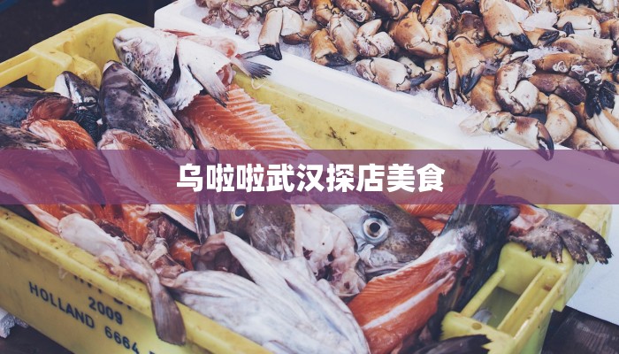 乌啦啦武汉探店美食