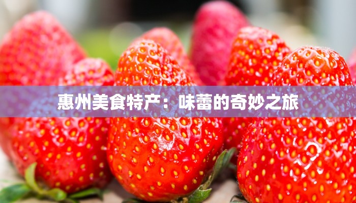 闵行莘庄疫情情况最新:守护家园,科学防控