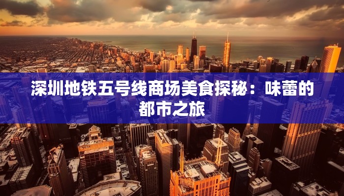 深圳地铁五号线商场美食探秘：味蕾的都市之旅