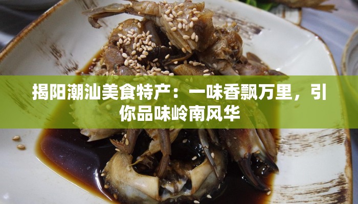 揭阳潮汕美食特产：一味香飘万里，引你品味岭南风华