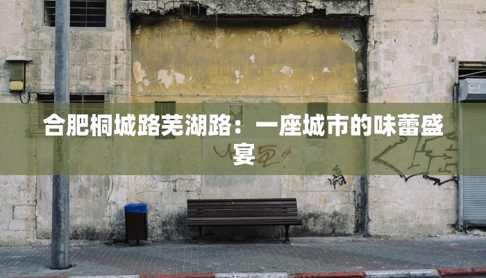 合肥桐城路芜湖路：一座城市的味蕾盛宴