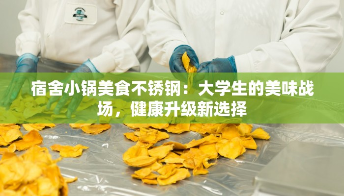 宿舍小锅美食不锈钢：大学生的美味战场，健康升级新选择