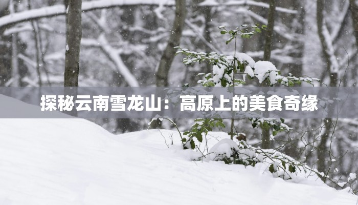 探秘云南雪龙山：高原上的美食奇缘