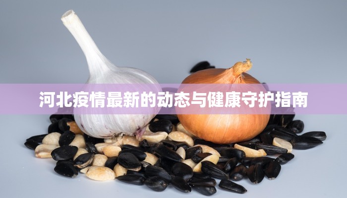 涡阳最新疫情资讯