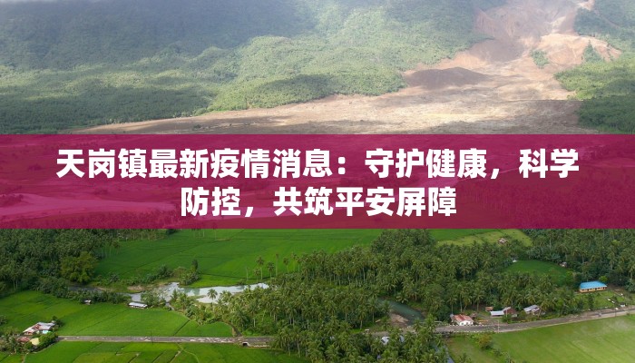 北苑柳青疫情最新：守护家园，携手共克时艰