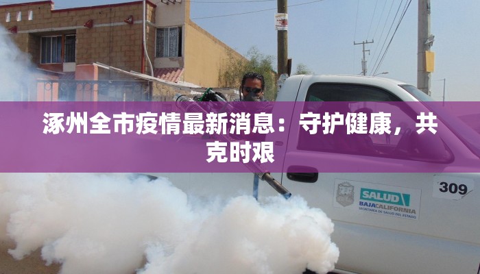 涿州全市疫情最新消息：守护健康，共克时艰