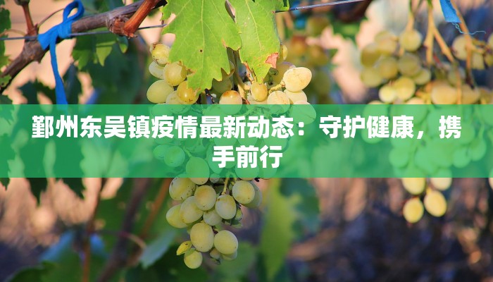 鄞州东吴镇疫情最新动态：守护健康，携手前行