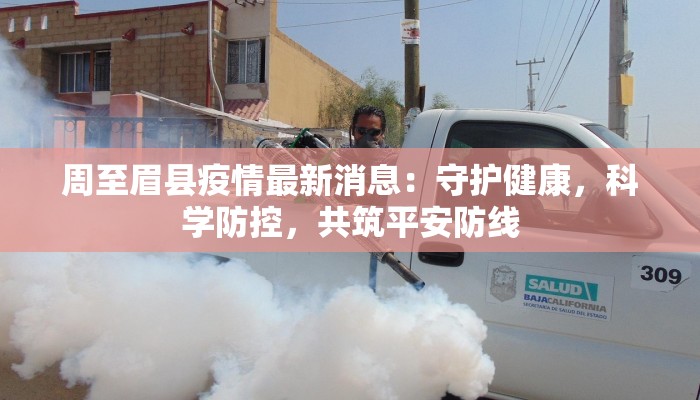 周至眉县疫情最新消息：守护健康，科学防控，共筑平安防线