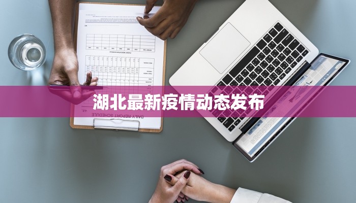 湖北最新疫情动态发布