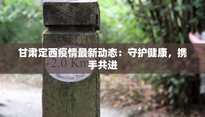 甘肃定西疫情最新动态：守护健康，携手共进