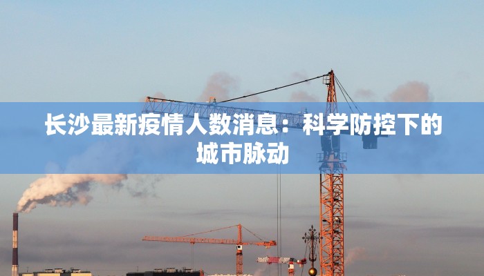 长沙最新疫情人数消息：科学防控下的城市脉动