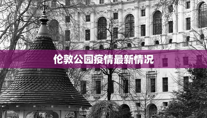 钦州疫情外界评论最新：理性审视与未来启示