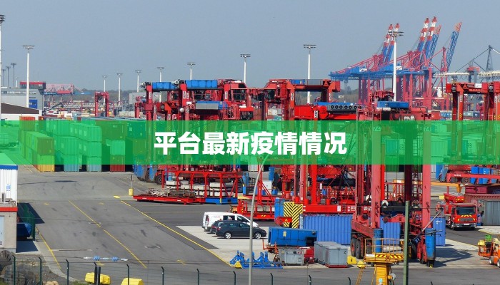 最新国内疫情特点