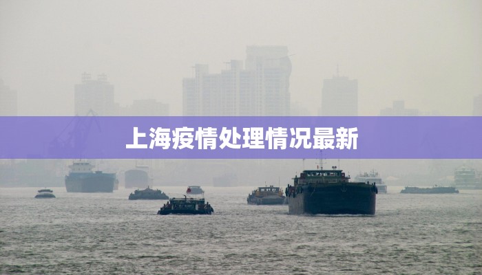 崇文园区最新疫情：科学防控，共筑健康屏障