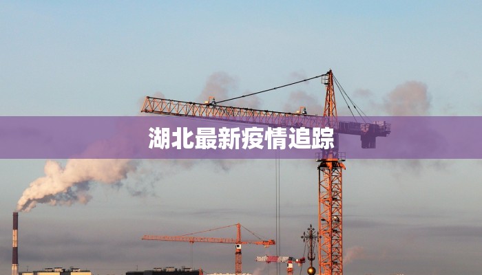 今日洪江疫情最新消息