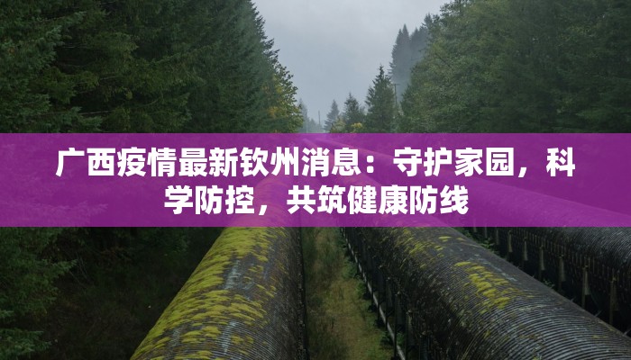 内丘园丁疫情最新：守护绿色希望，携手共克时艰