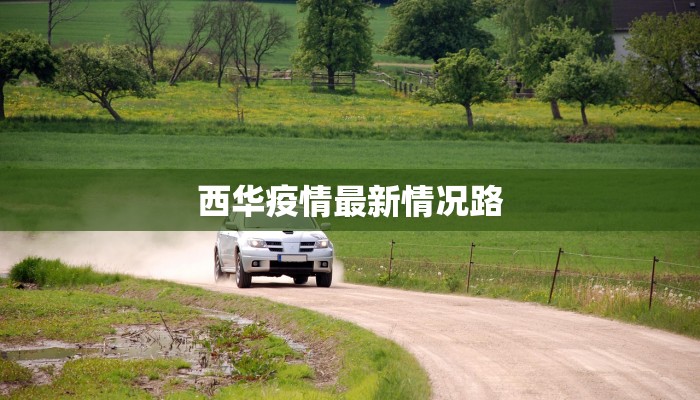 冀州最新疫情通告