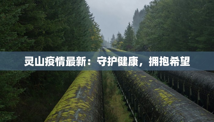 灵山疫情最新：守护健康，拥抱希望