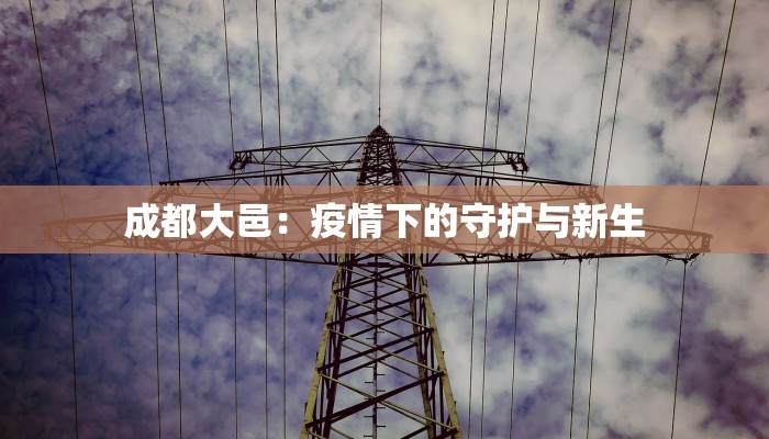 成都大邑:疫情下的守护与新生