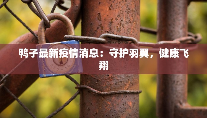 鸭子最新疫情消息：守护羽翼，健康飞翔