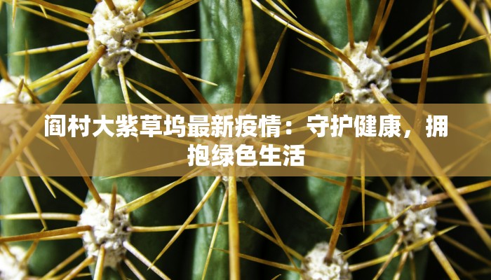 阎村大紫草坞最新疫情：守护健康，拥抱绿色生活