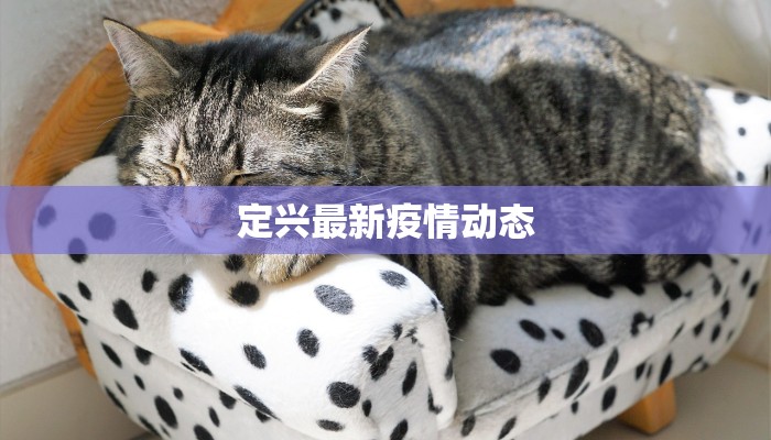 定兴最新疫情动态