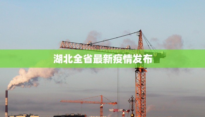 湖北全省最新疫情发布