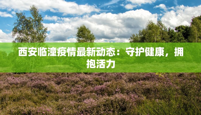 西安临潼疫情最新动态：守护健康，拥抱活力