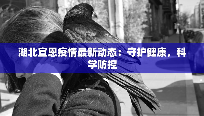 湖北宣恩疫情最新动态：守护健康，科学防控